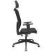 Cadeira Presidente Ergonômica Tela Mesh - Brizza Back System Soft lateral