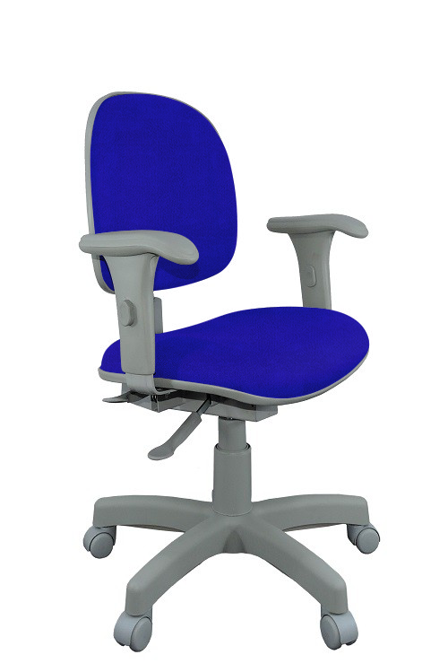 Cadeira Ergonômica Gerente Back System NR17 Base Giratória e Regulagem de Altura AT50 - Poliéster Azul