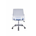Cadeira Executiva Para Escritório Base Giratória e Regulagem de Altura DL180 - Azul Claro Atrás